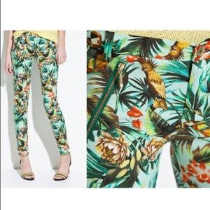 Zara tropical parrot pants Trafaluc collection 6